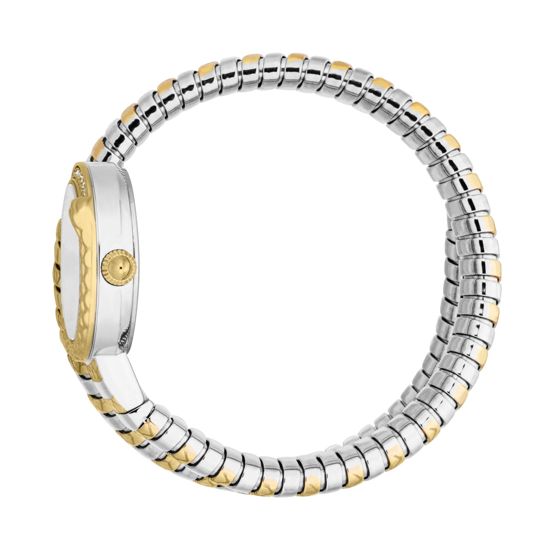 Just Cavalli Women's Two Tone Gold/Silver Snake Watch with Silver Dial Just Cavalli