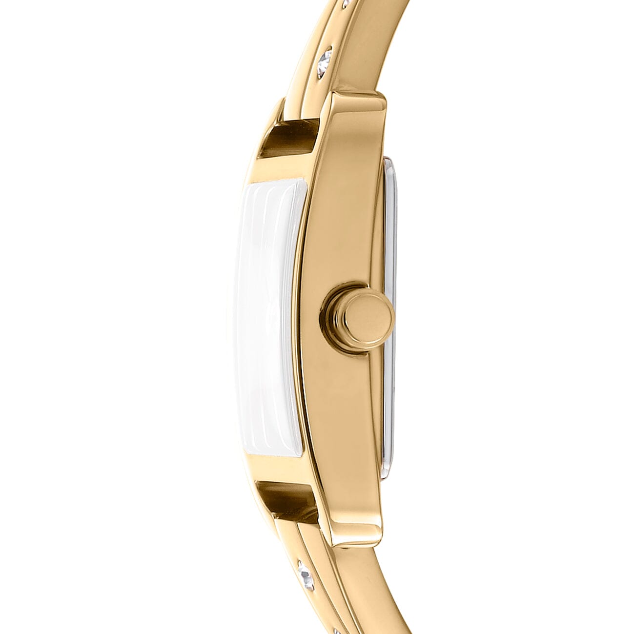 DK1L005M0025 DKNY Iconic Champagne Dial Gold Women's Watch 22 x 30mm Watches DKNY 