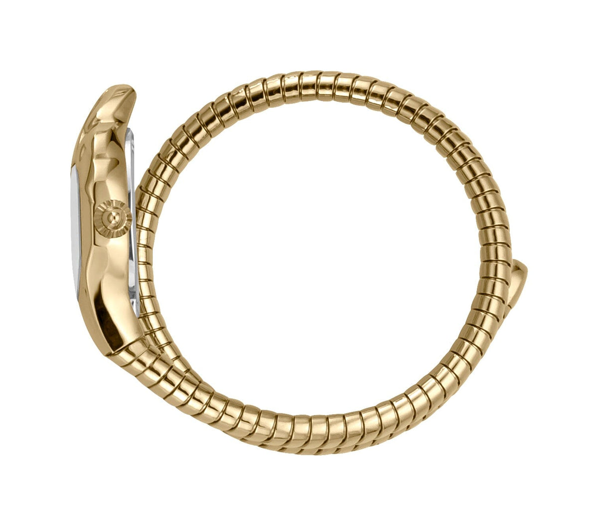 JC1L001M0055 Women's Just Cavalli Gold Color Quartz Watch Just Cavalli 