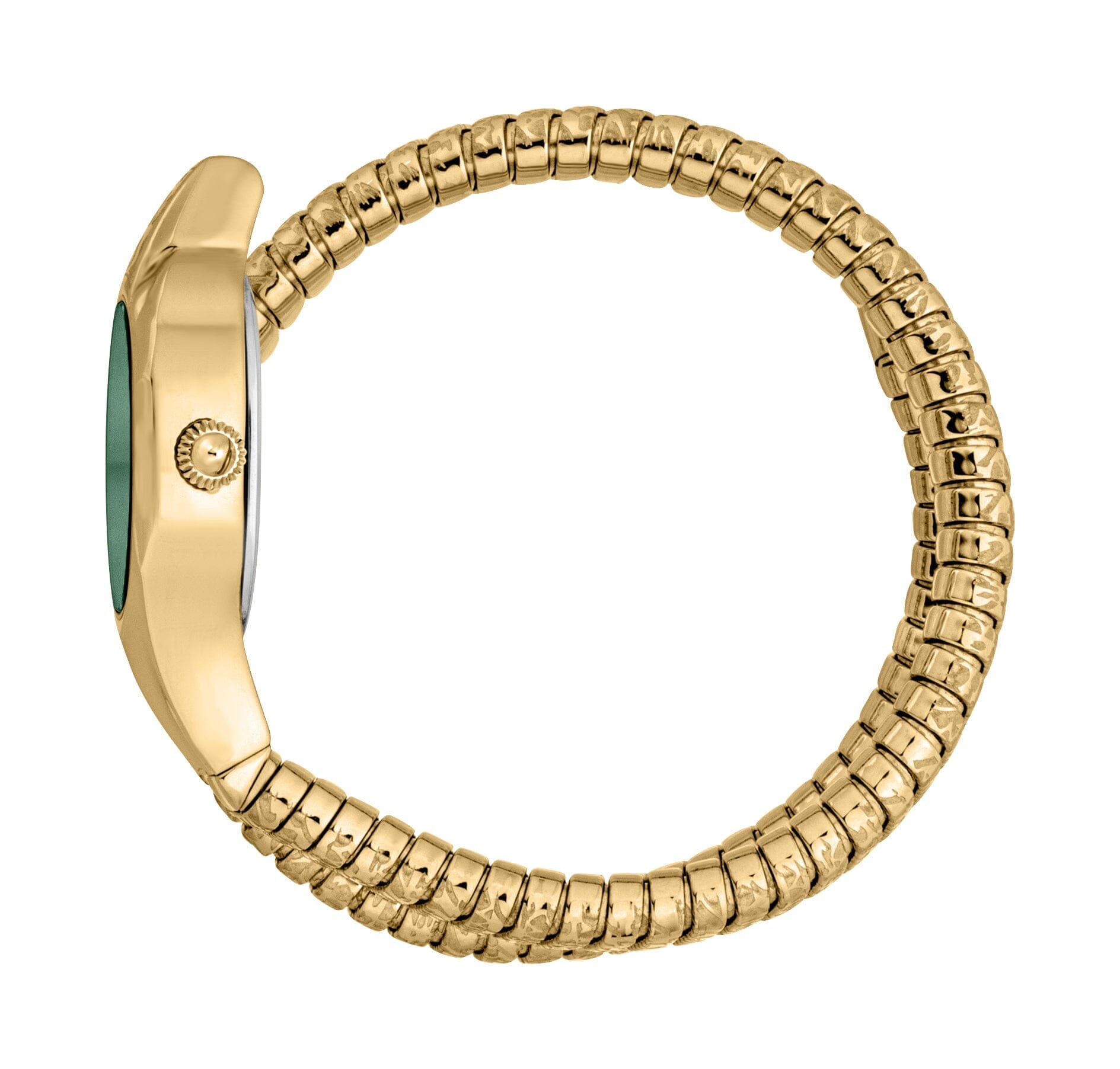 Just Cavalli Amalfi Women’s Gold Stainless Steel Snake Watch with Green Dial Just Cavalli 