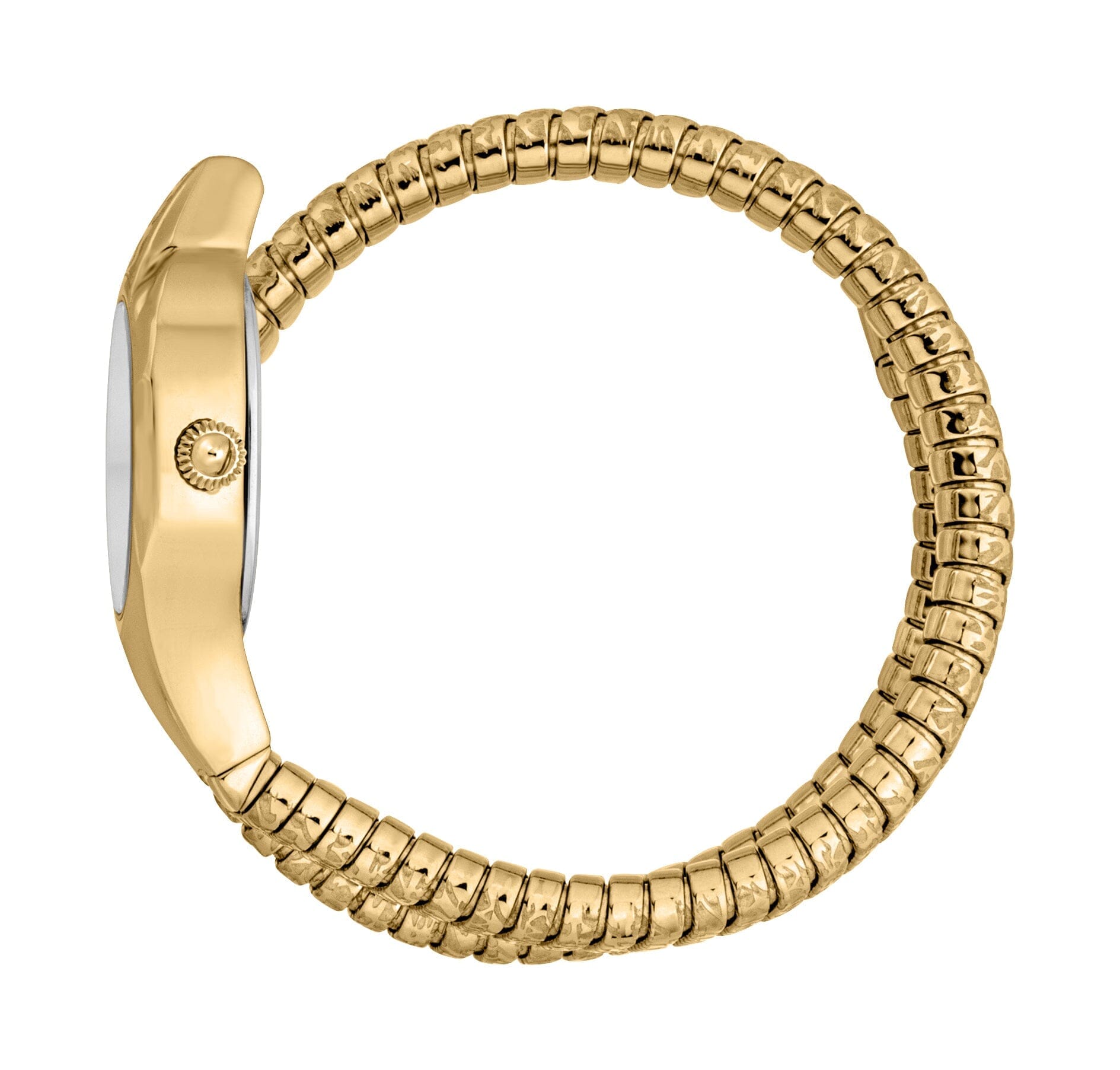 Just Cavalli Amalfi Women’s Gold Stainless Steel Snake Watch with Silver Dial Just Cavalli 