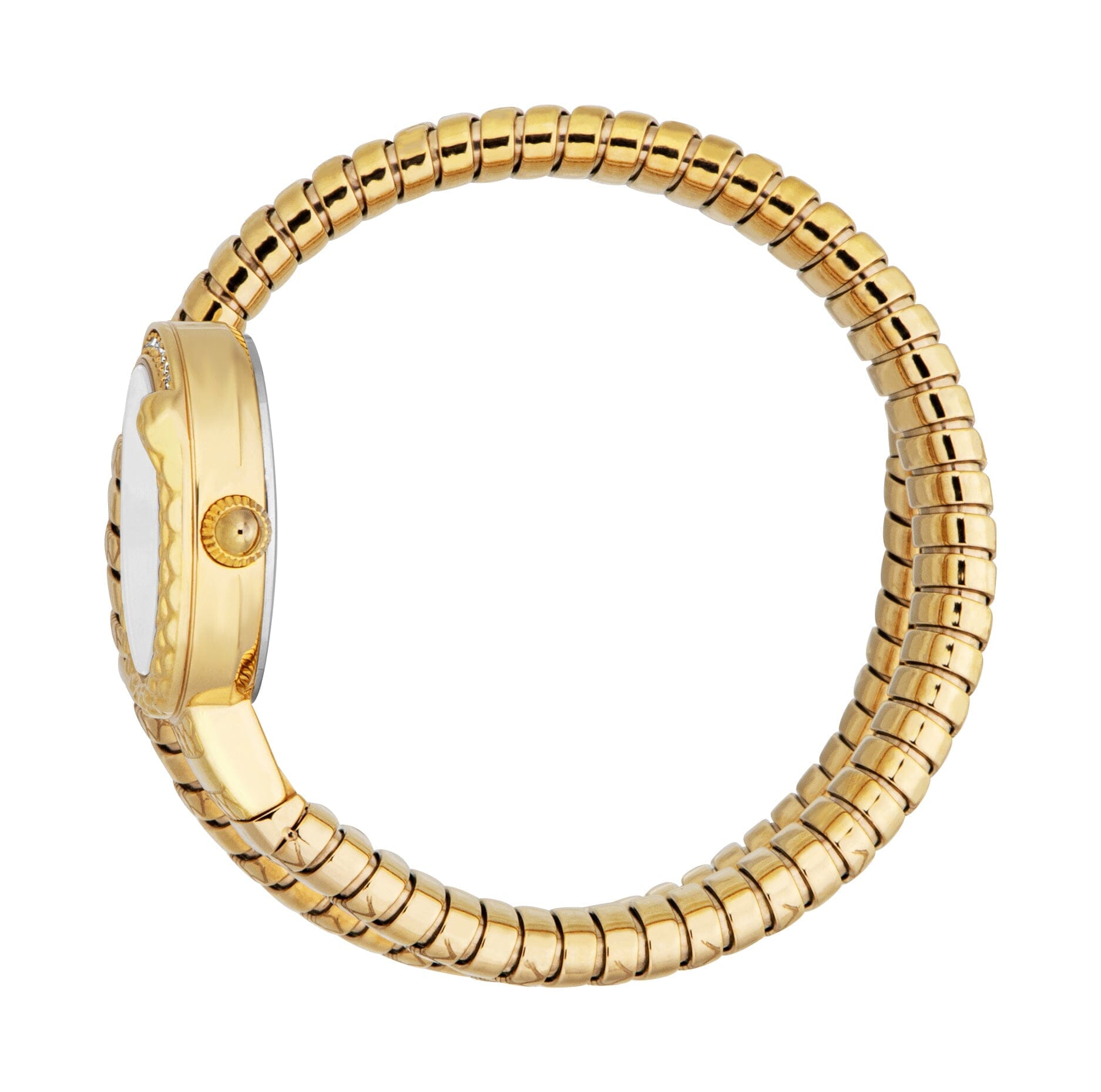 Just Cavalli Cerchio Snake Women’s Gold Snake Watch with Silver Dial Just Cavalli 
