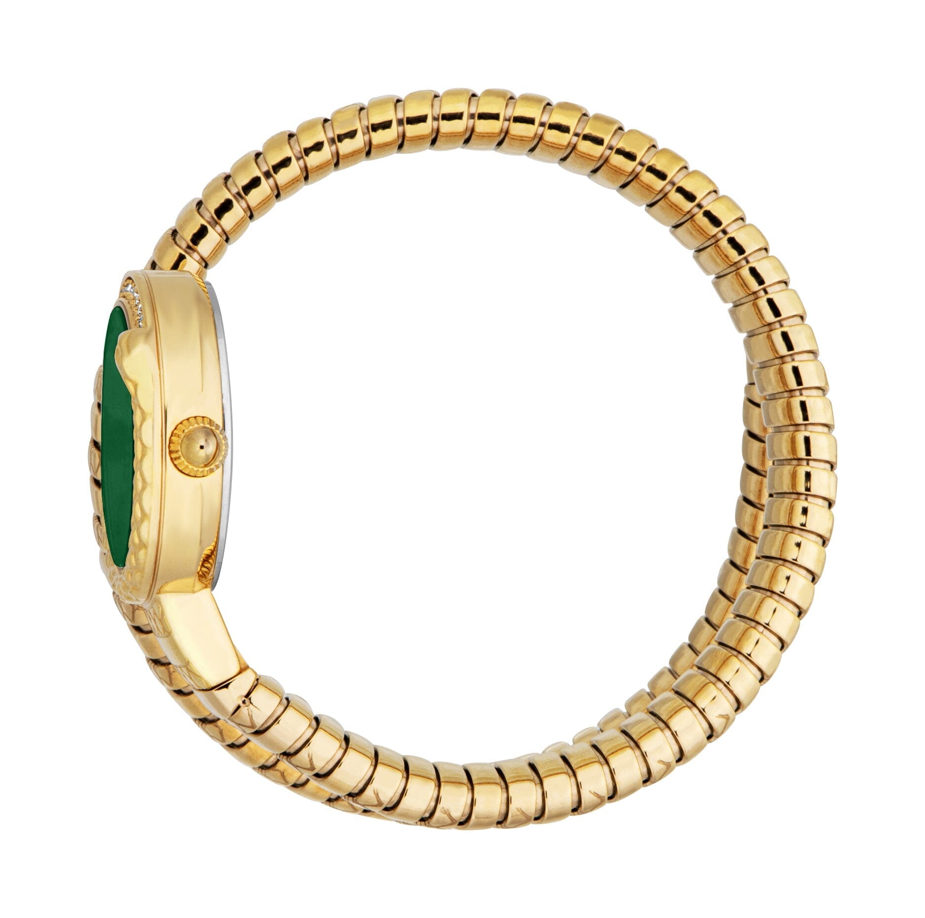Just Cavalli Cerchio Snake Women’s Gold Stainless Steel Snake Watch with Green Dial Just Cavalli 