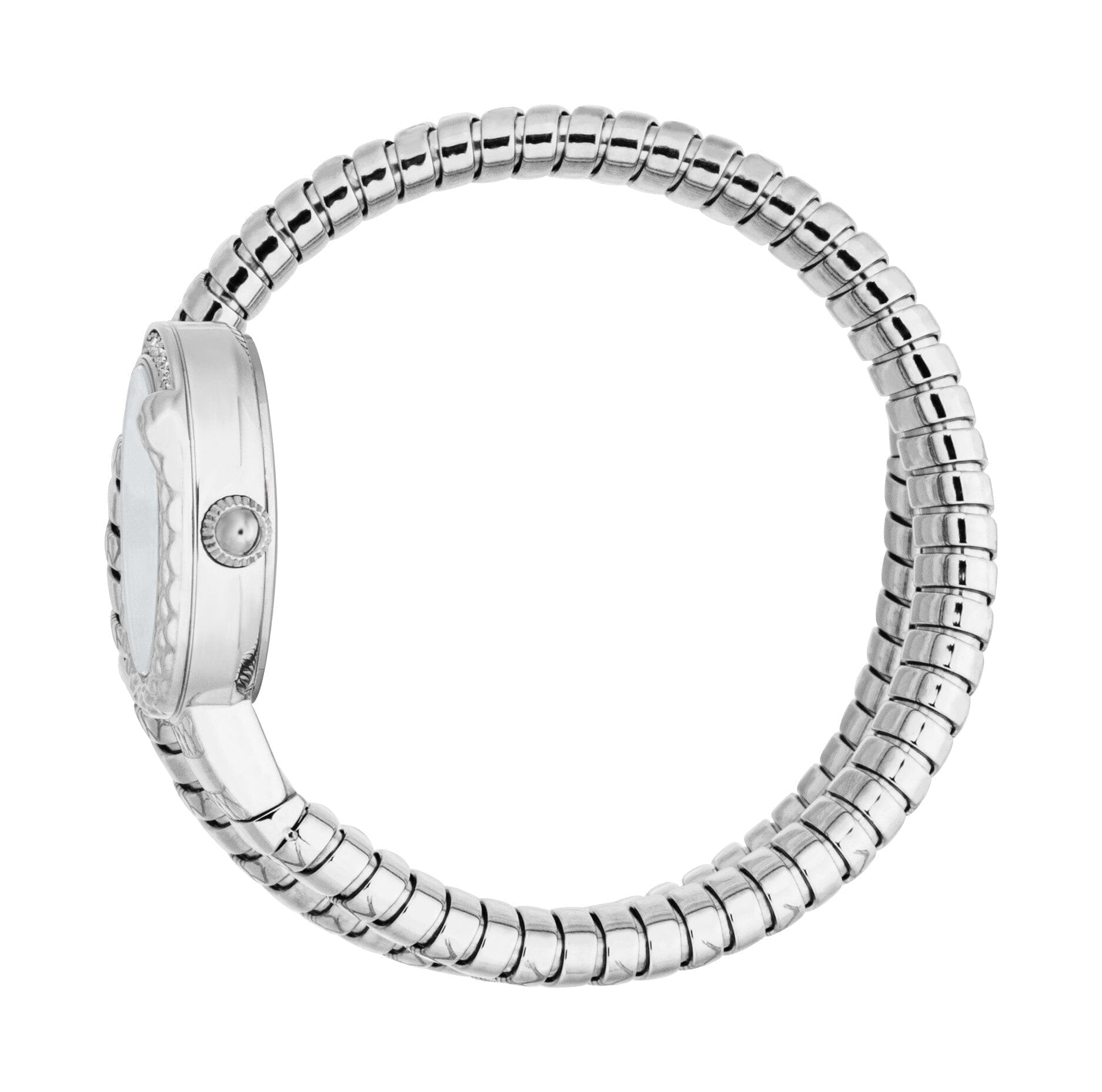 Just Cavalli Cerchio Snake Women’s Stainless Steel Snake Watch with Silver Dial Just Cavalli 