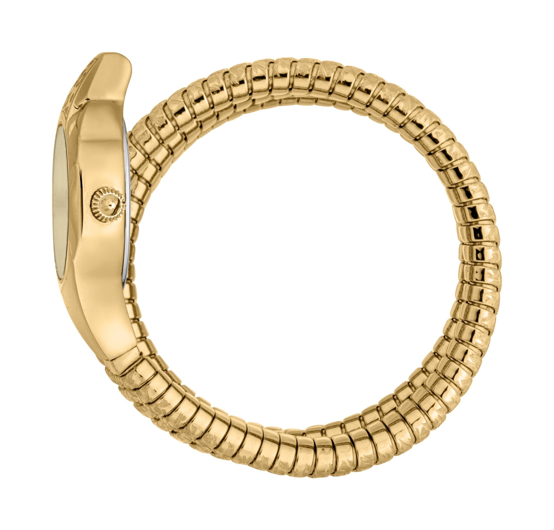 Just Cavalli Women’s Gold Stainless Steel Snake Watch with Champagne dial Just Cavalli 