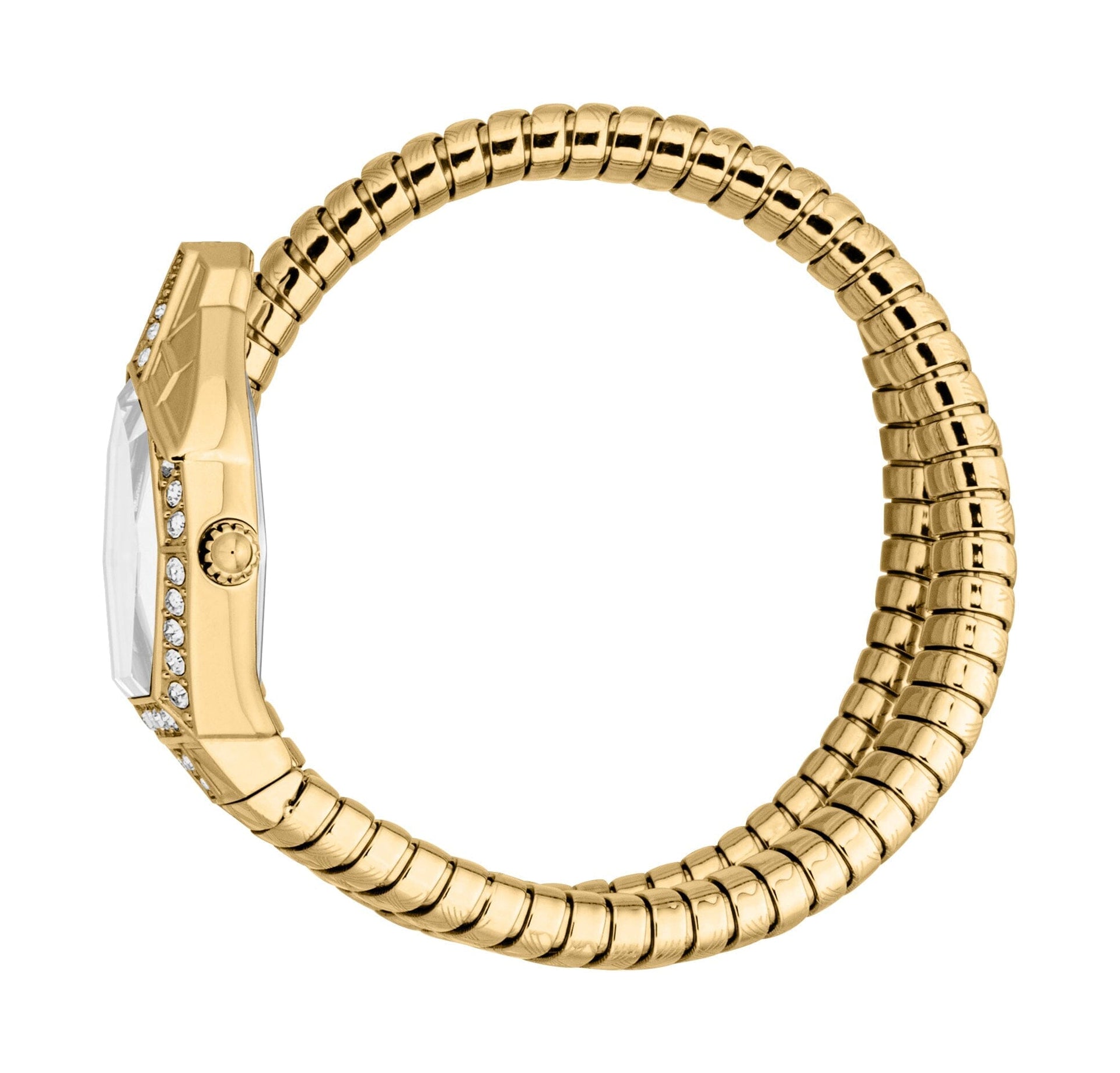 Just Cavalli Women’s Gold Stainless Steel Snake Watch with Gold dial Just Cavalli 