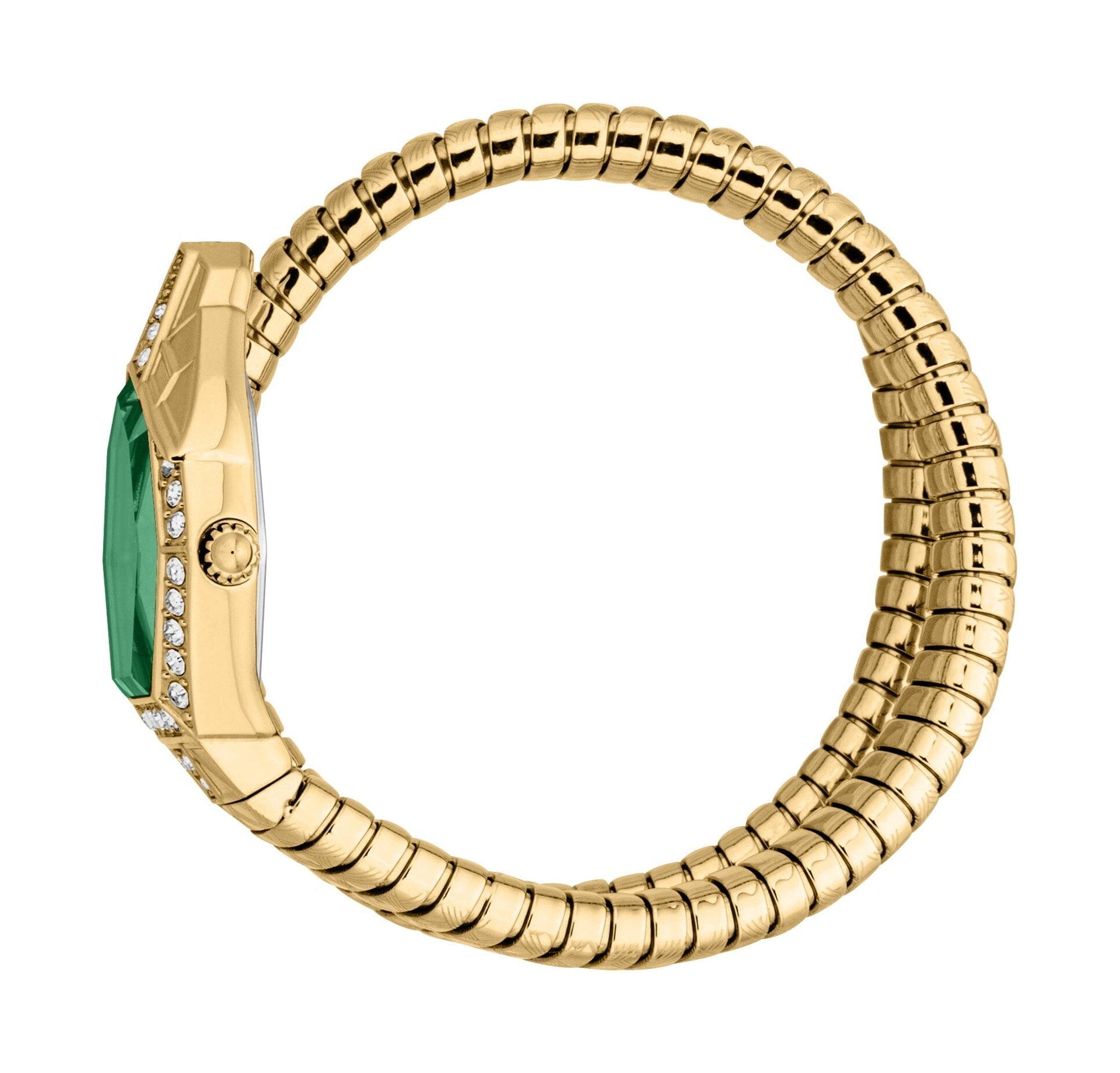 Just Cavalli Women’s Gold Stainless Steel Snake Watch with Green Dial Just Cavalli 
