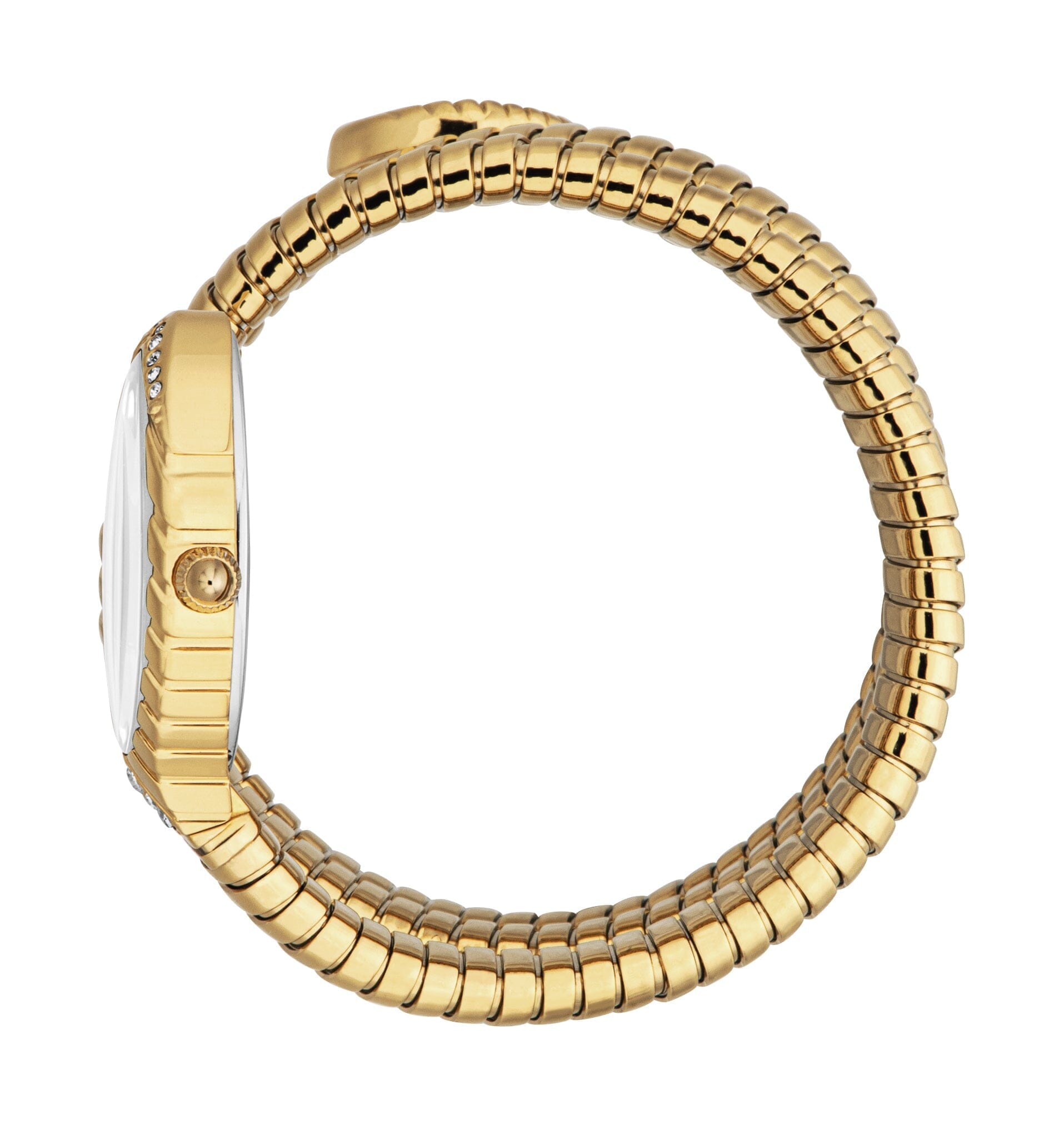 Just Cavalli Women’s Gold Stainless Steel Snake Watch with Silver Dial Just Cavalli 