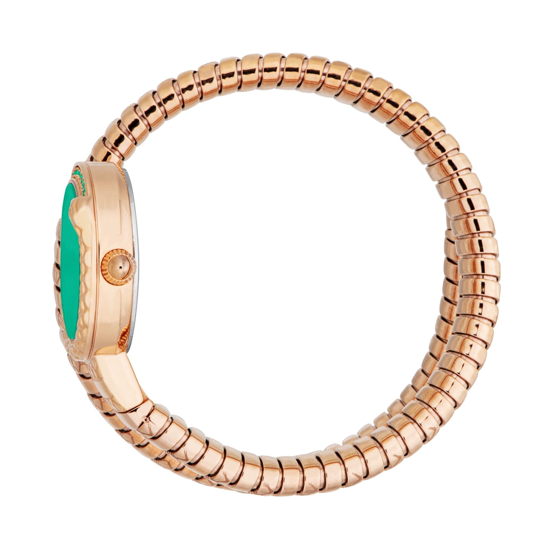 Just Cavalli Women’s Rose Gold Stainless Steel Snake Watch with Green dial Just Cavalli 