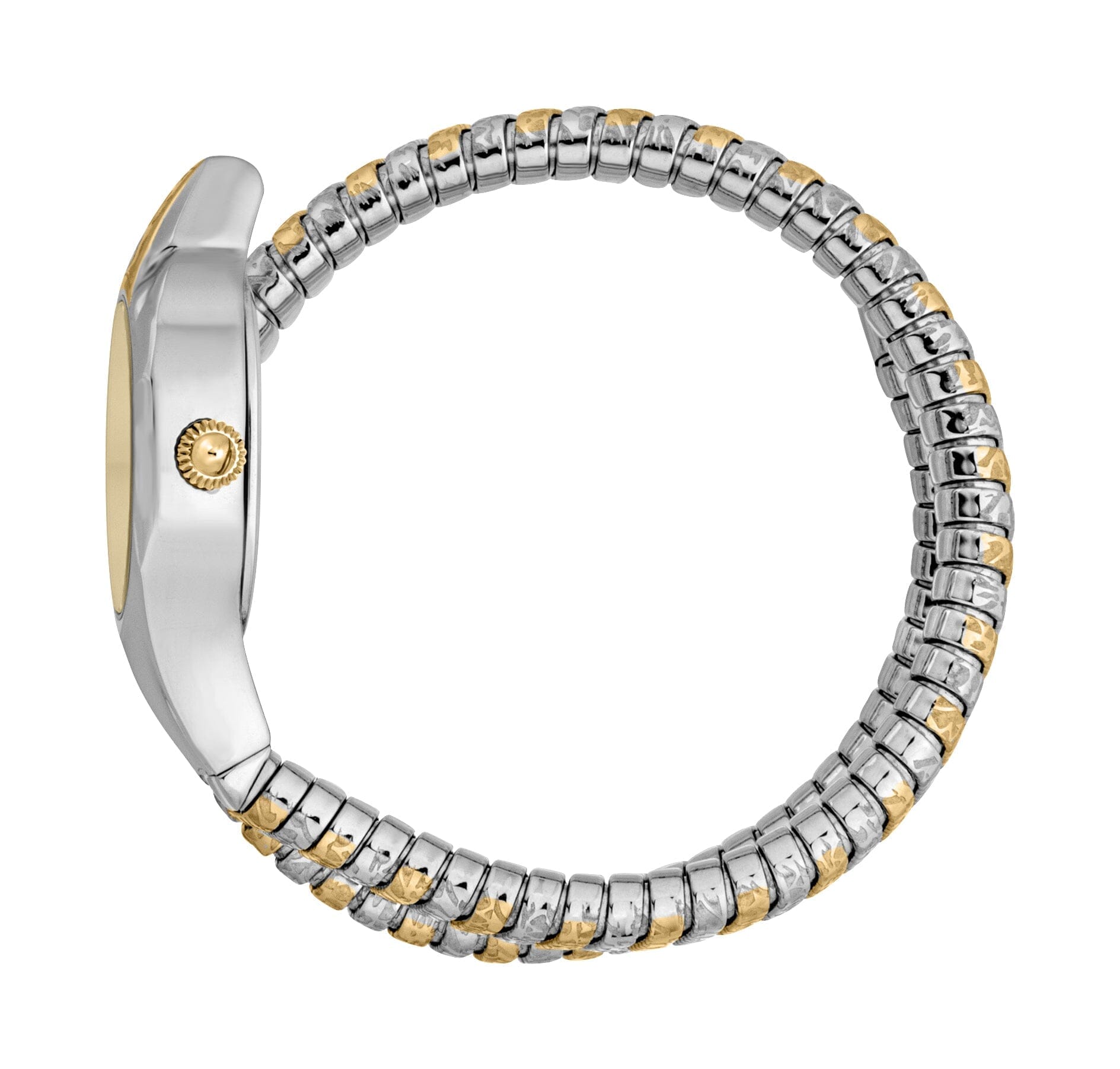 Just Cavalli Women's Two Tone Gold/Silver Watch with Champaign dial Just Cavalli 