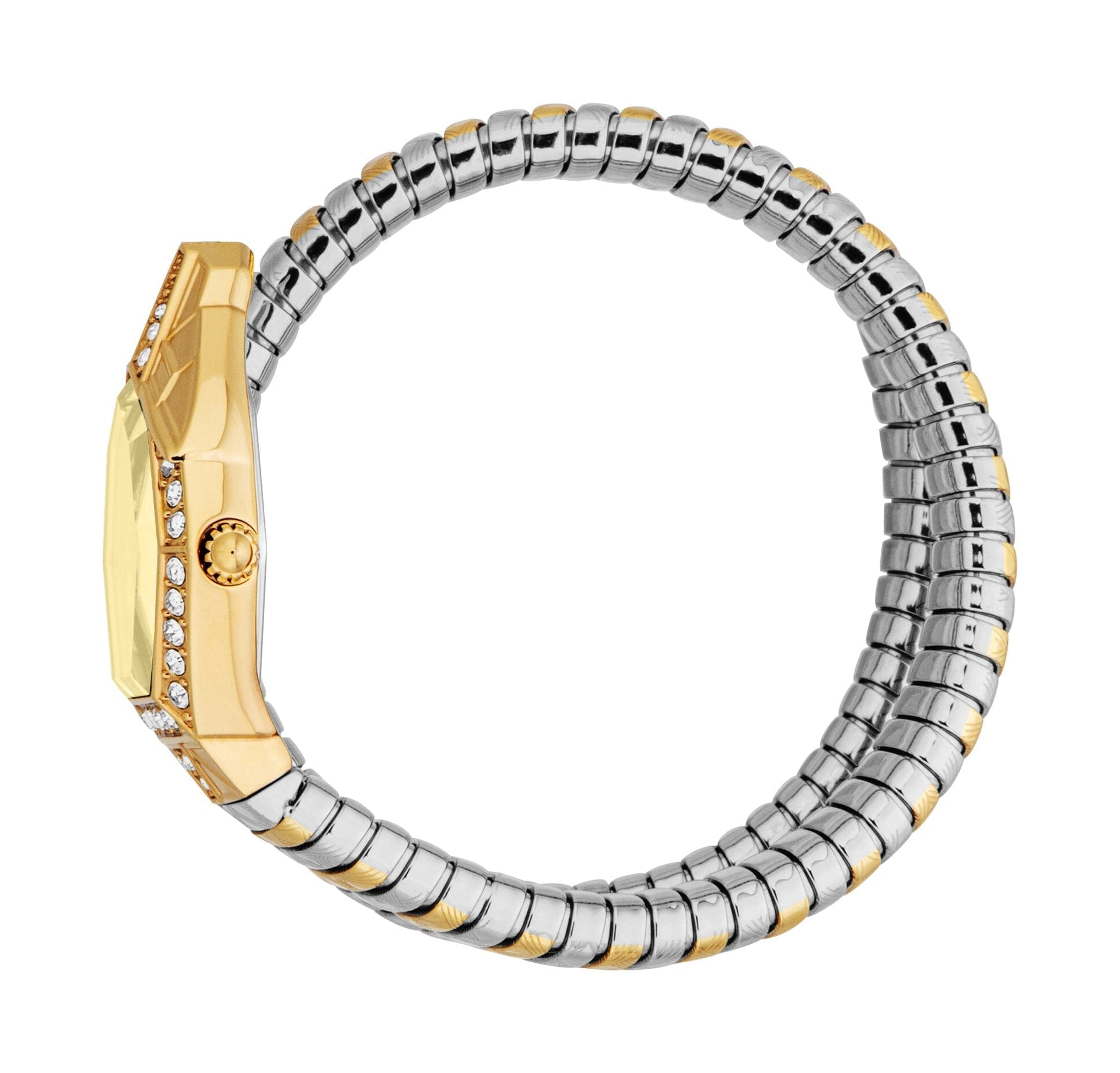 Just Cavalli Women's Two Tone Gold/Silver Watch with Gold Dial Just Cavalli 