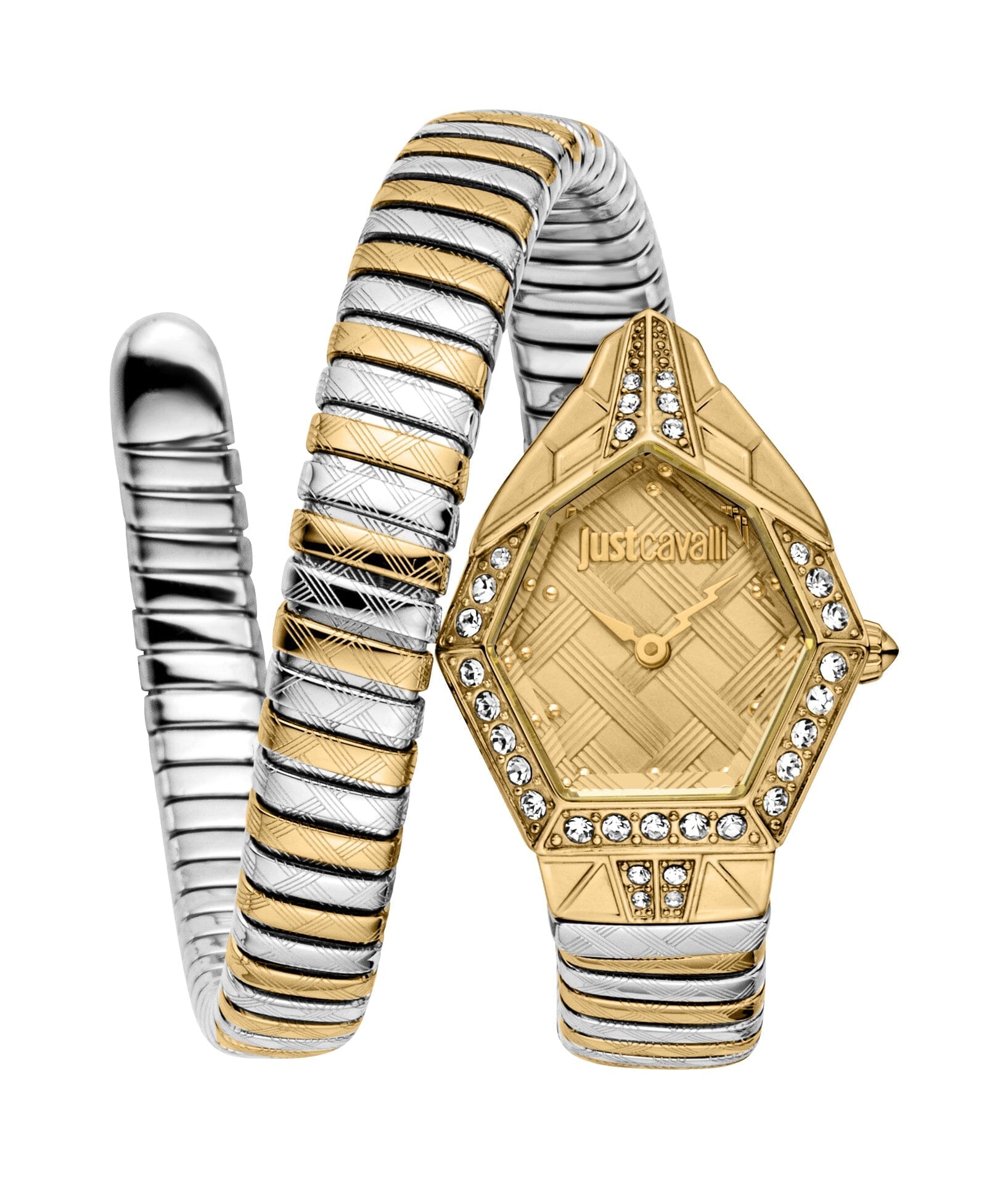 Just Cavalli Women's Two Tone Gold/Silver Watch with Gold Dial Just Cavalli 
