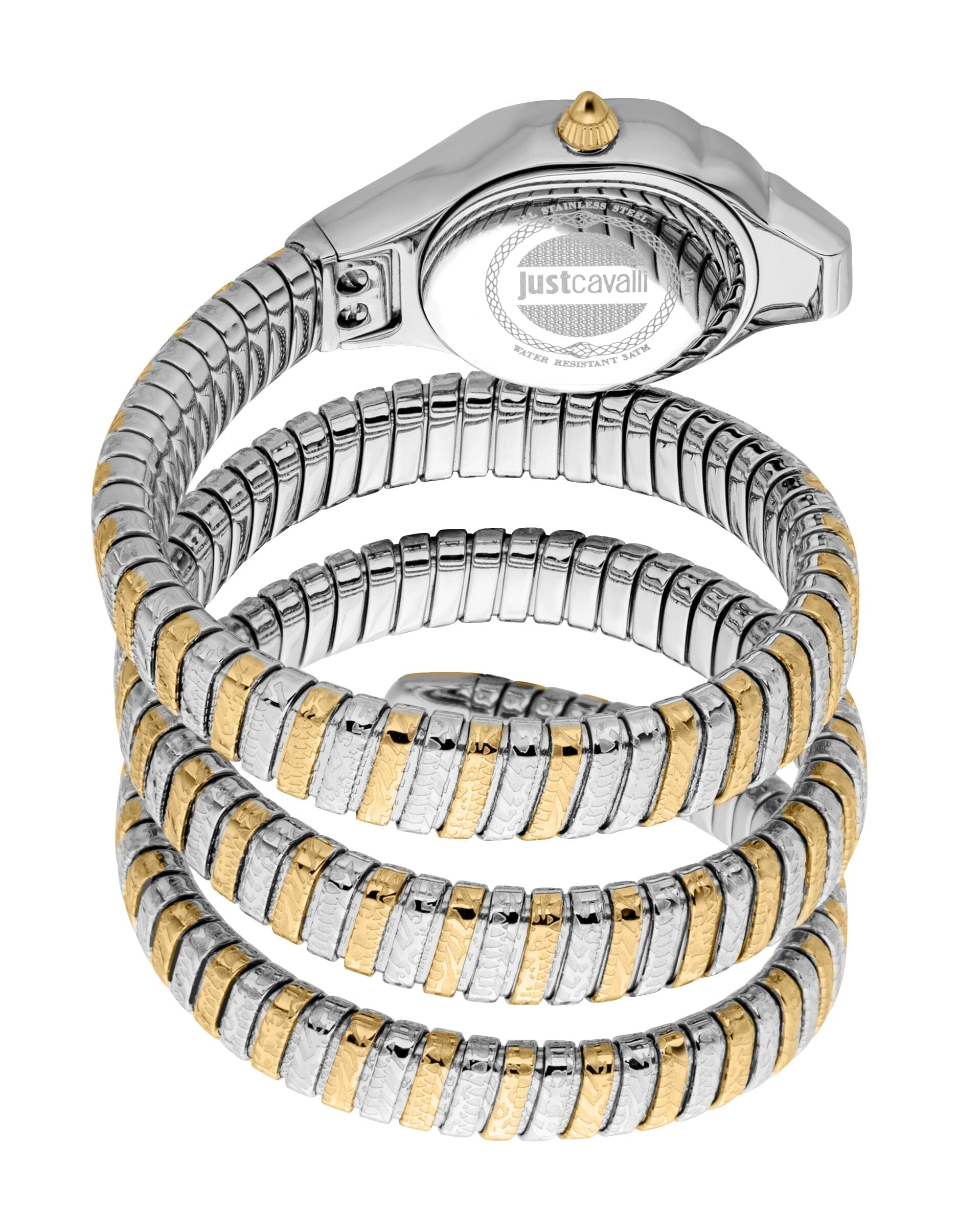 Just Cavalli Women's Two Tone Gold/Silver Watch with Silver Dial Just Cavalli 