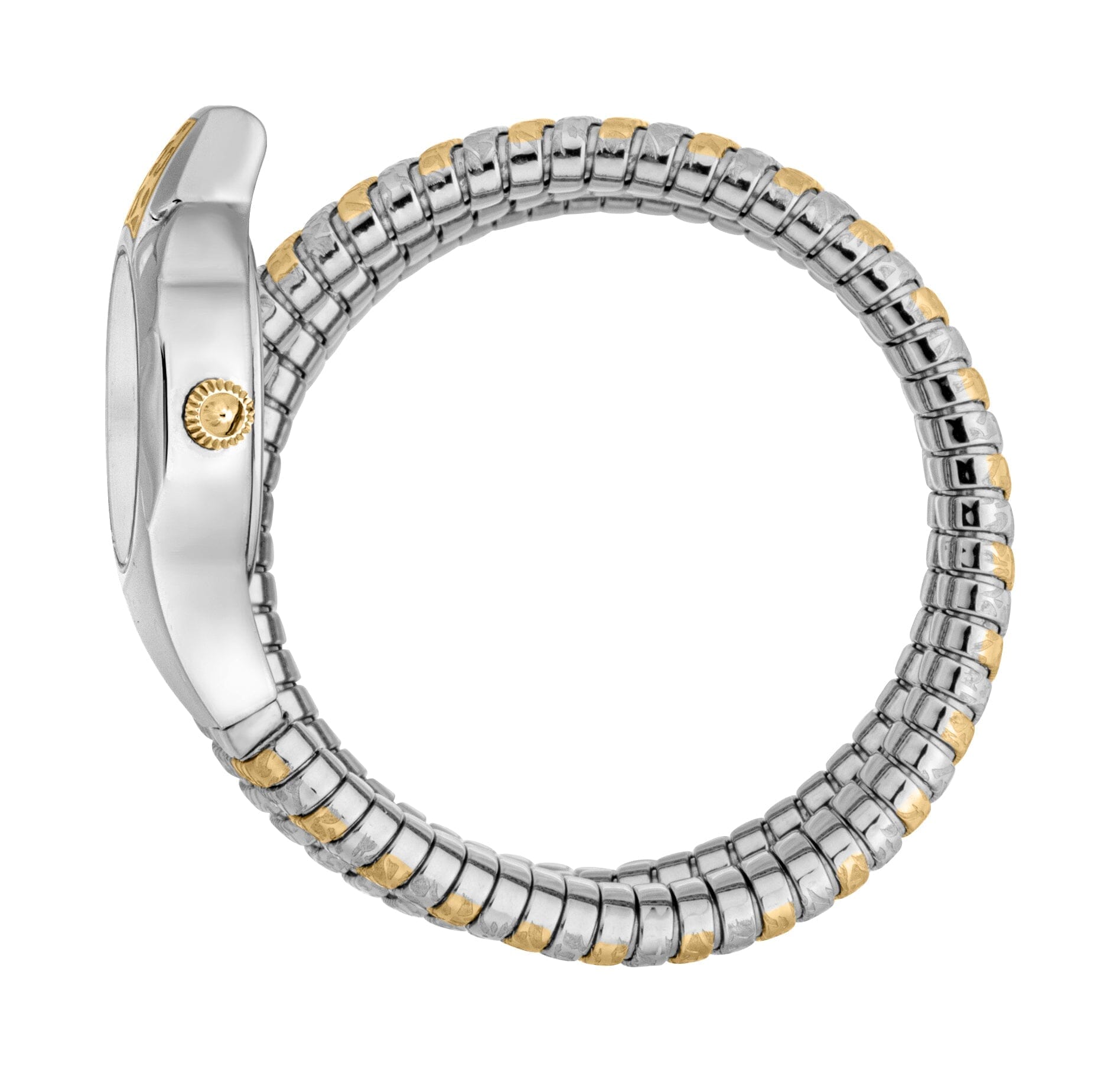 Just Cavalli Women's Two Tone Gold/Silver Watch with Silver Dial Just Cavalli 