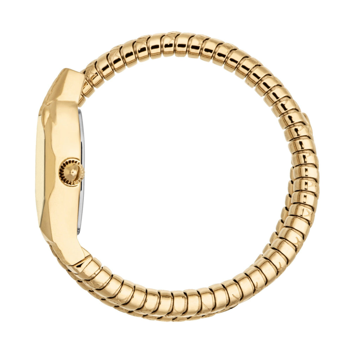 Just Cavalli Womens's Snake Watch Champagne Dial Gold Color Stainless Steel Watch Just Cavalli 