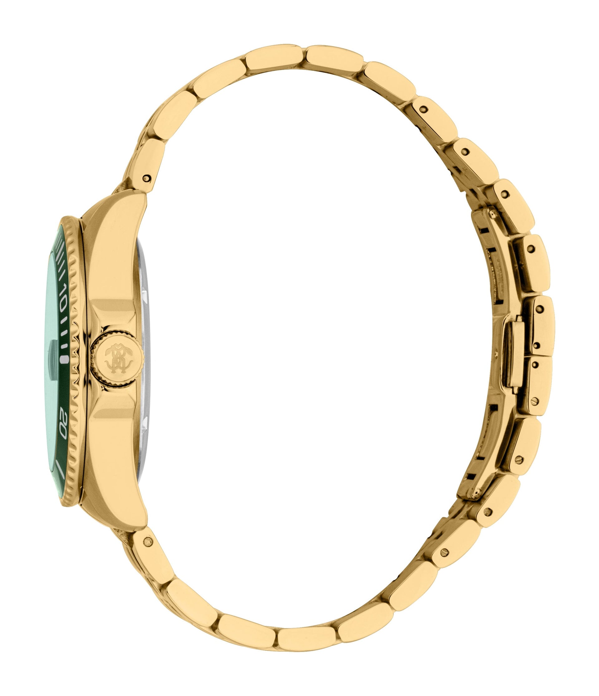 RC5G171M0095 Roberto Cavalli Men Watch, Dark Green Dial, Gold Color Metal Bracelet Roberto Cavalli 