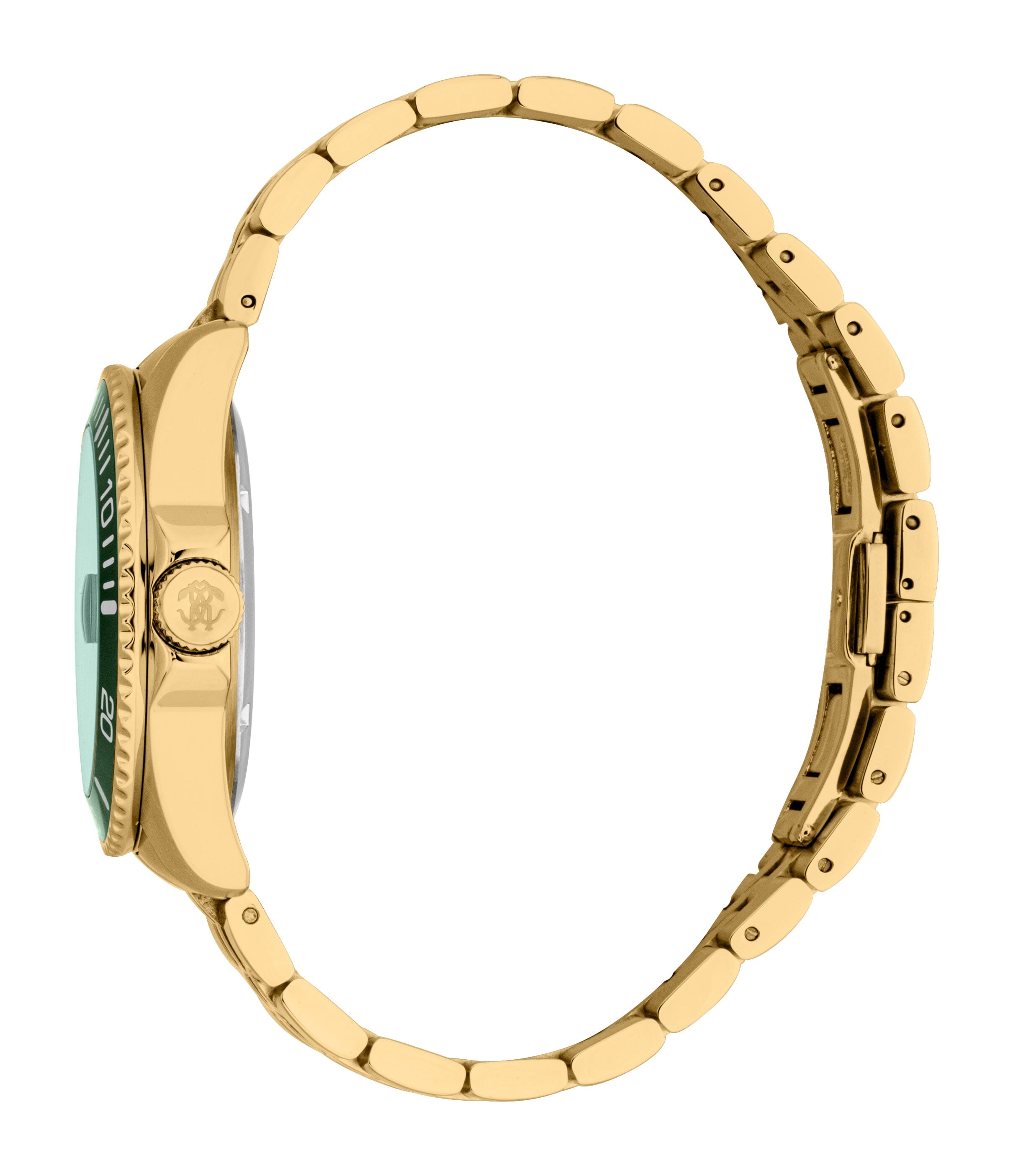 RC5G171M0095 Roberto Cavalli Men Watch, Dark Green Dial, Gold Color Metal Bracelet Roberto Cavalli 