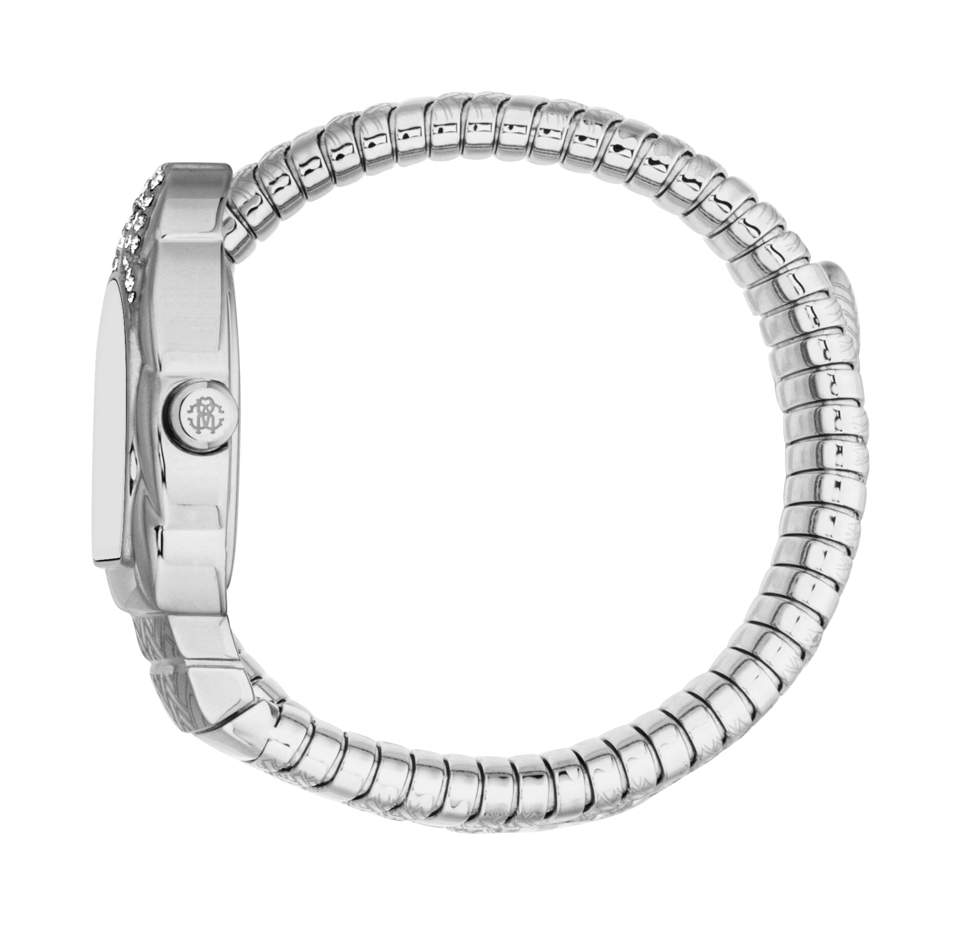 RC5L133M0015 Roberto Cavalli Women's Stainless Steel Snake Watch Roberto Cavalli 