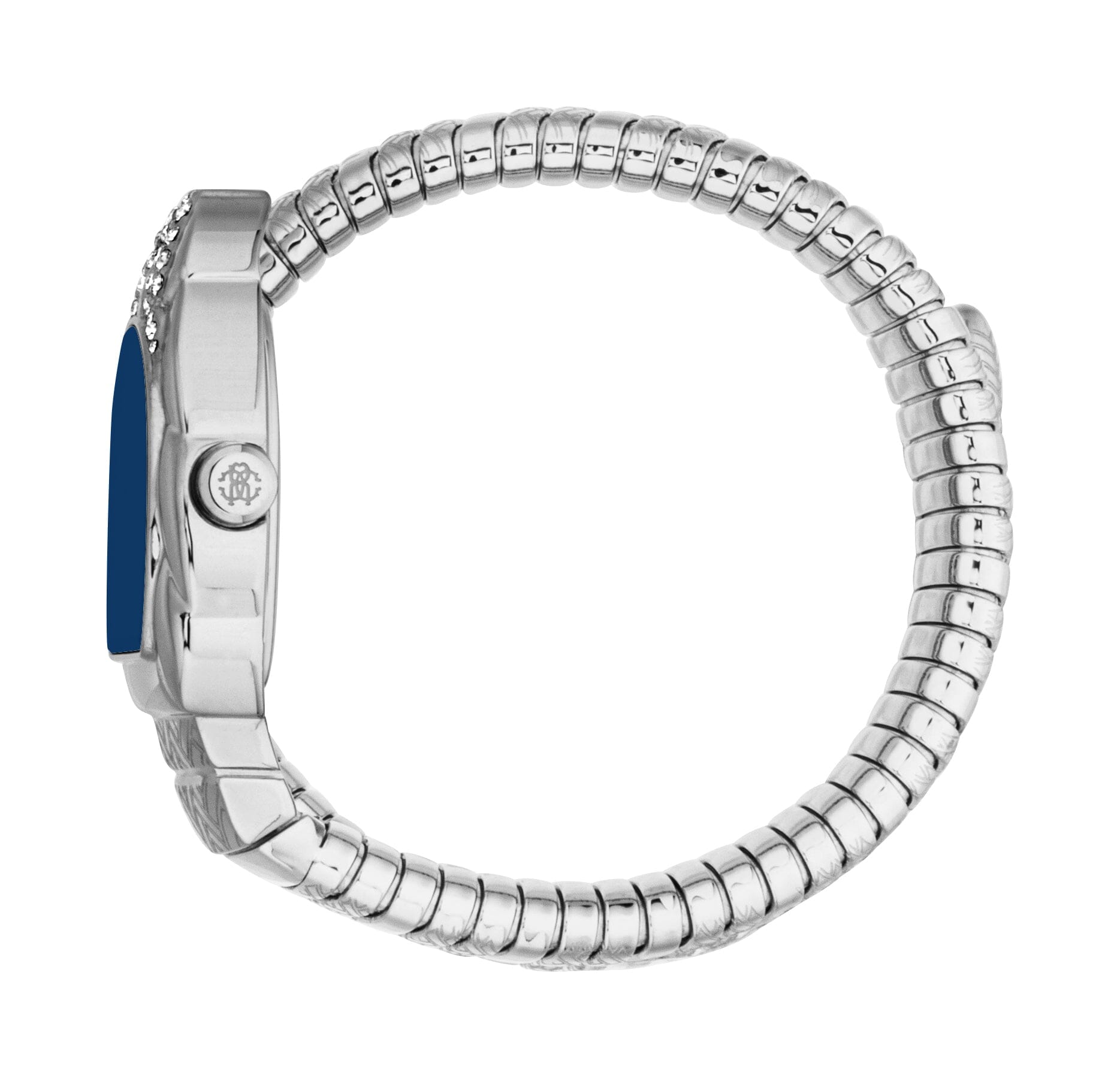 RC5L133M0025 Roberto Cavalli Women's Stainless Steel Snake Watch Roberto Cavalli 
