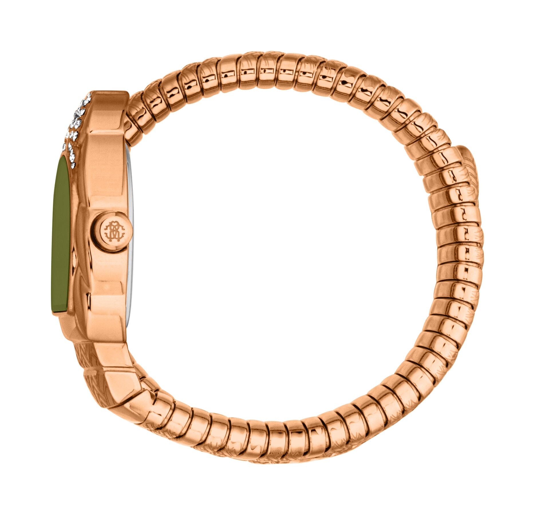 RC5L133M0055 Roberto Cavalli Women's Stainless Steel Snake Watch Roberto Cavalli 