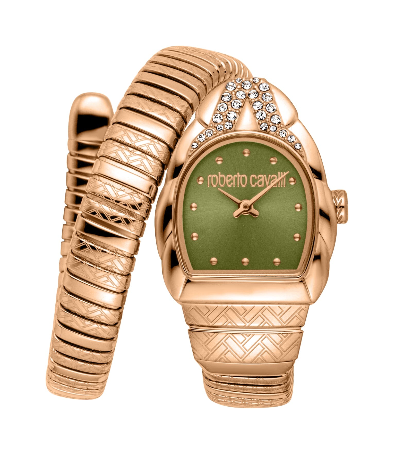 RC5L133M0055 Roberto Cavalli Women's Stainless Steel Snake Watch Roberto Cavalli 