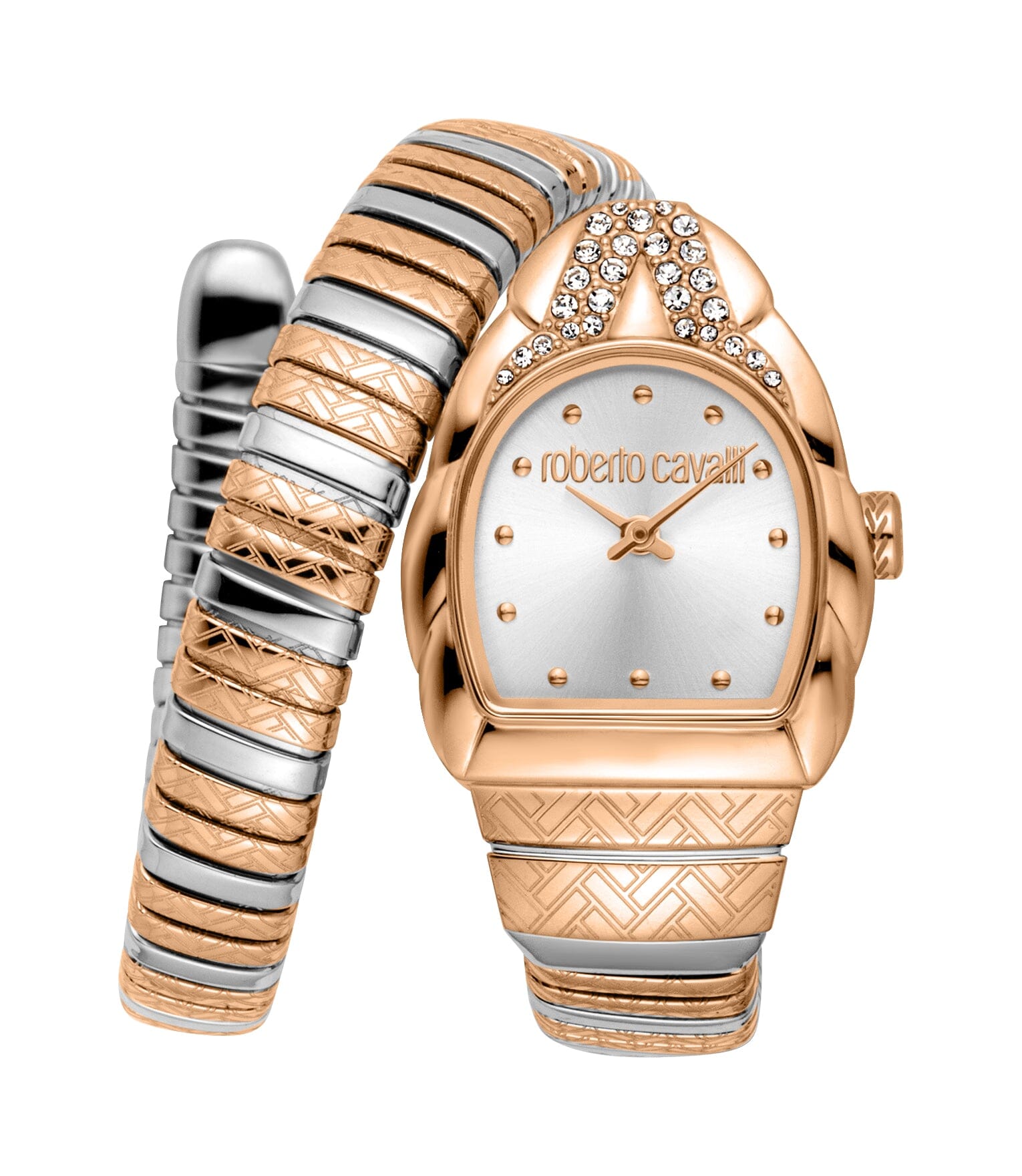 RC5L133M0075 Roberto Cavalli Women's Stainless Steel Snake Watch Roberto Cavalli 