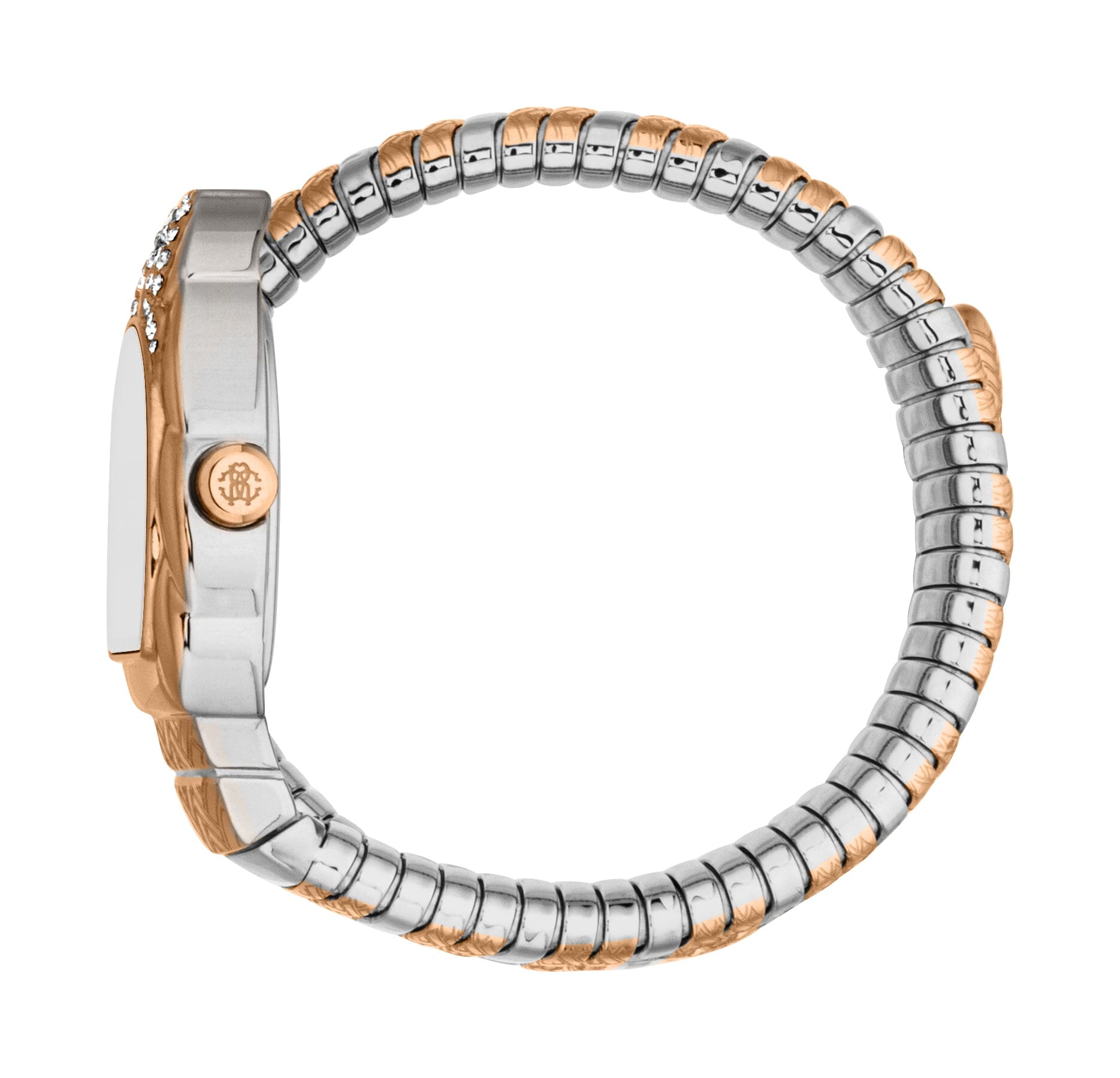 RC5L133M0075 Roberto Cavalli Women's Stainless Steel Snake Watch Roberto Cavalli 