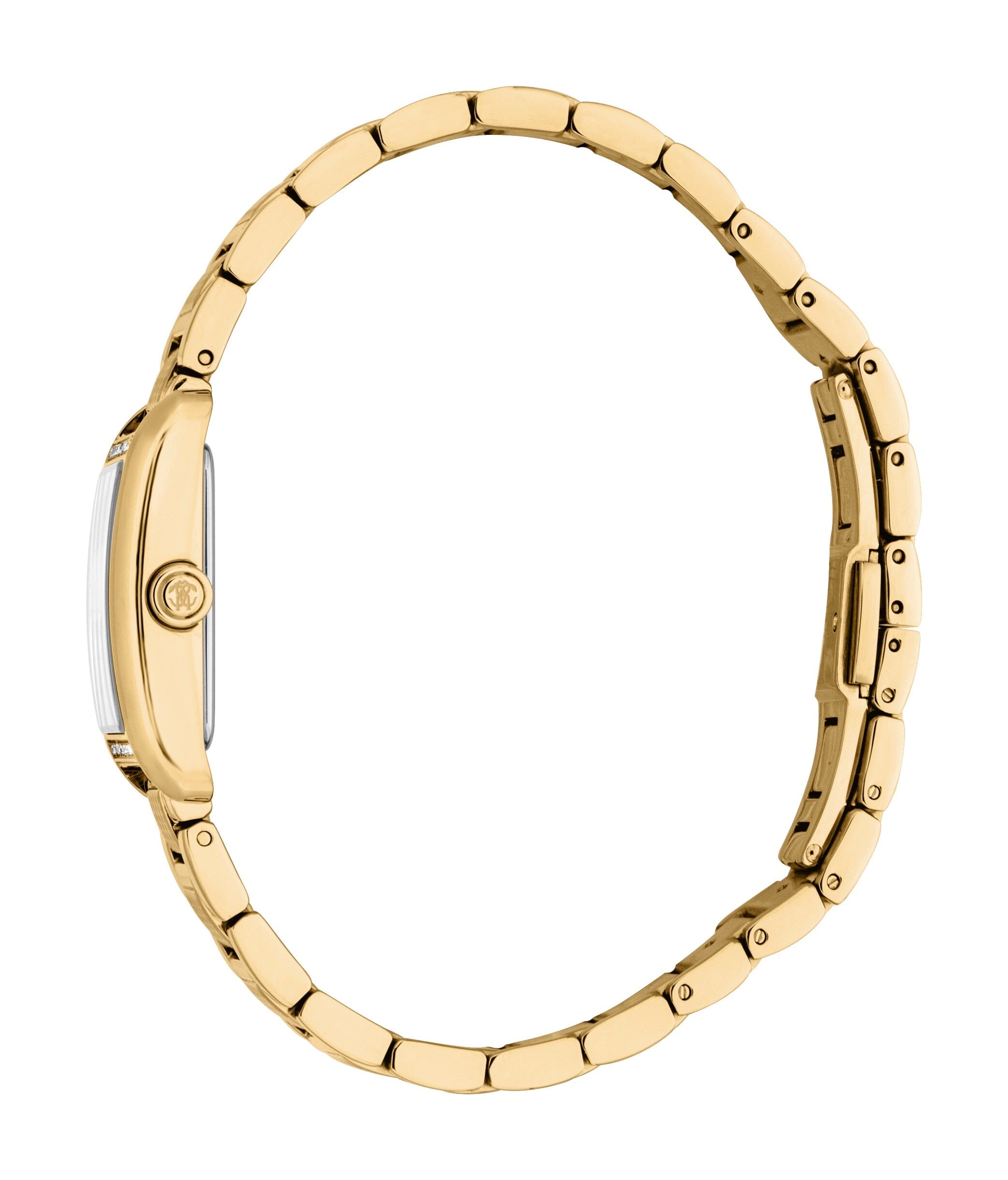 RC5L138M0055 Roberto Cavalli Women Watch, Silver Dial, Gold Color Metal Bracelet Roberto Cavalli 