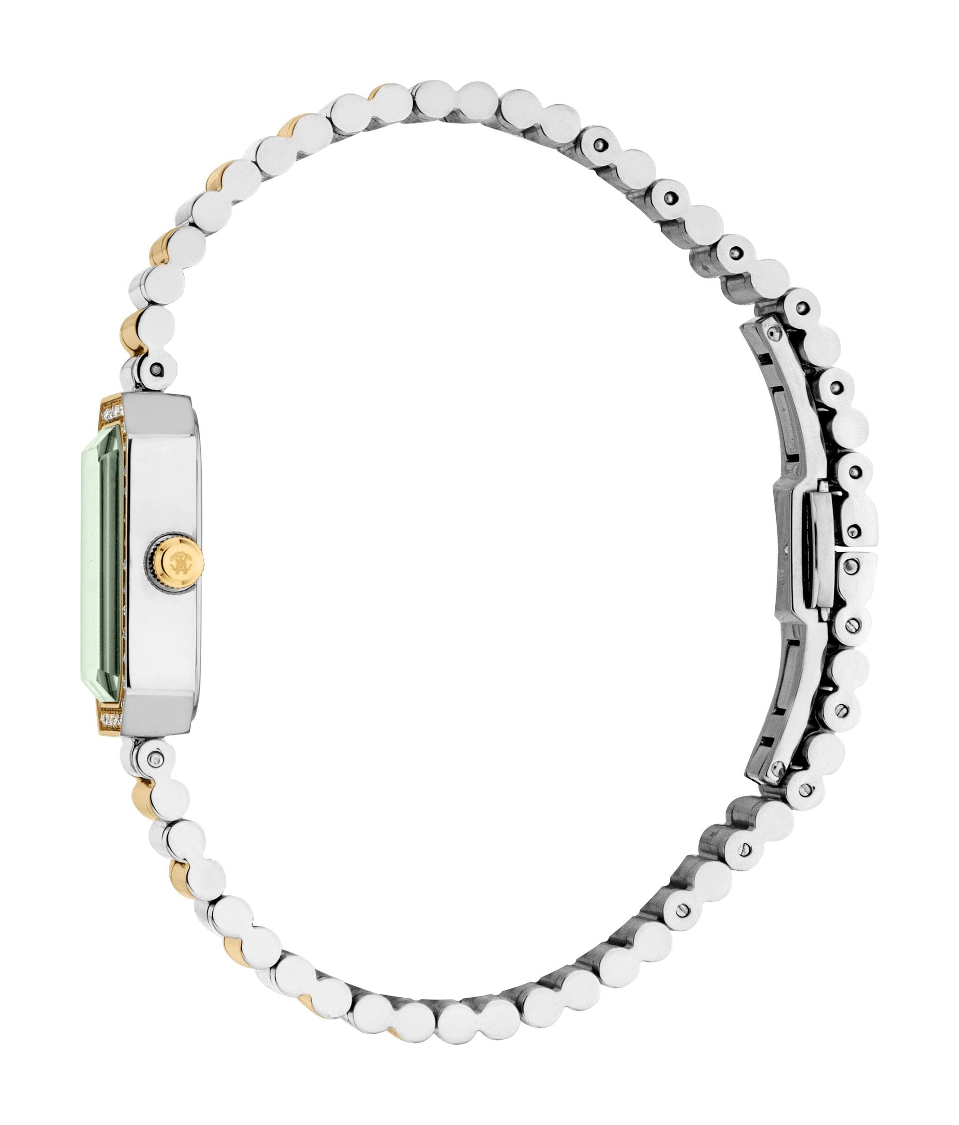 RC5L163M0055 Roberto Cavalli Women Watch, Dark Green Dial, Two Tone Silver & Gold Color Metal Bracelet Roberto Cavalli 