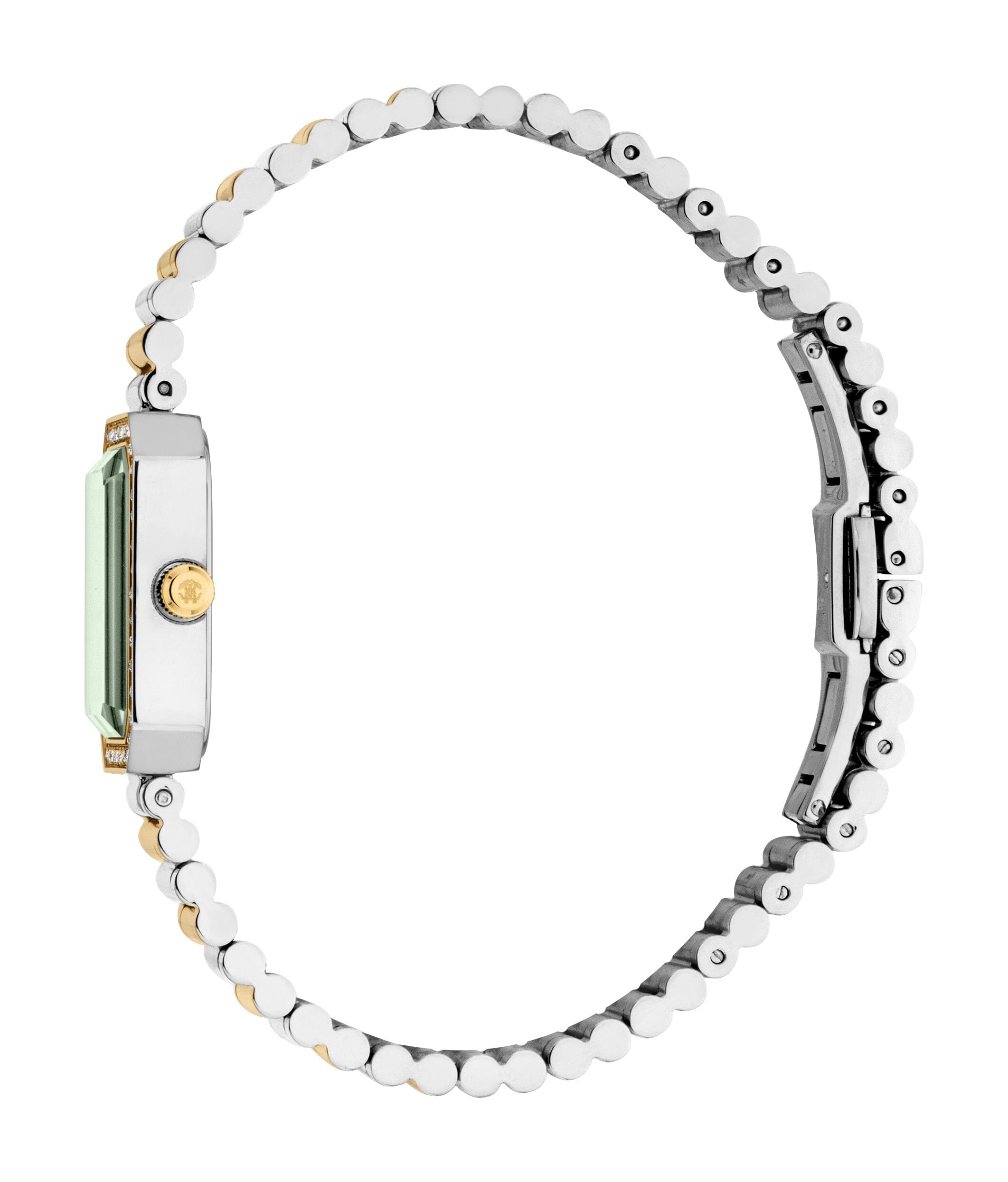 RC5L163M0055 Roberto Cavalli Women Watch, Dark Green Dial, Two Tone Silver & Gold Color Metal Bracelet Roberto Cavalli 